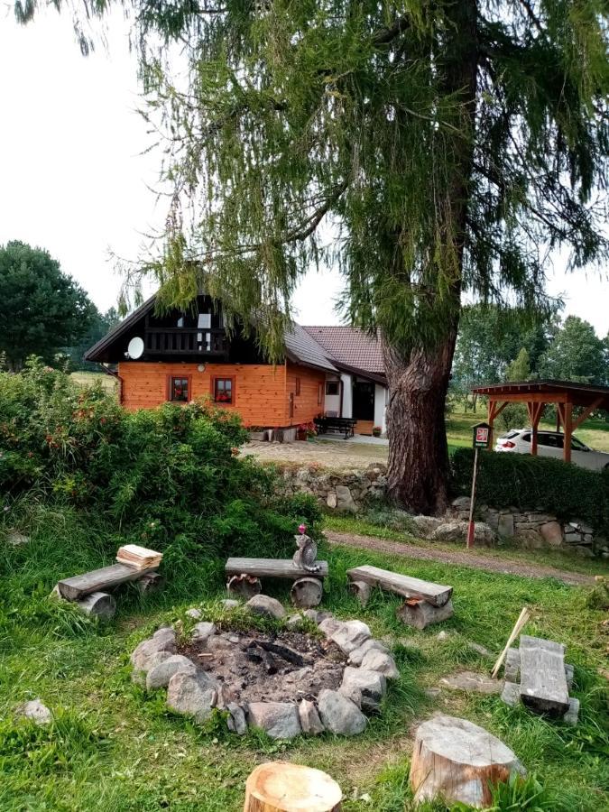 Chalupa Olsina 31 - Ferienhaus Horní Planá Exteriör bild